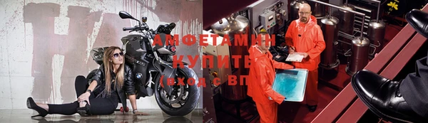 сатива Нефтекумск