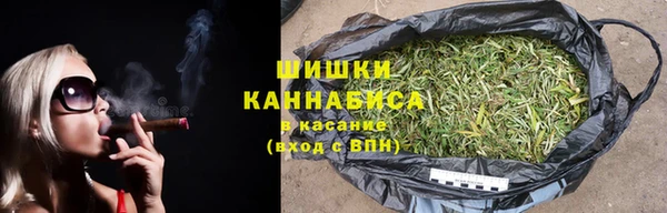 сатива Нефтекумск