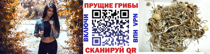 Псилоцибиновые грибы MAGIC MUSHROOMS  Лабытнанги 