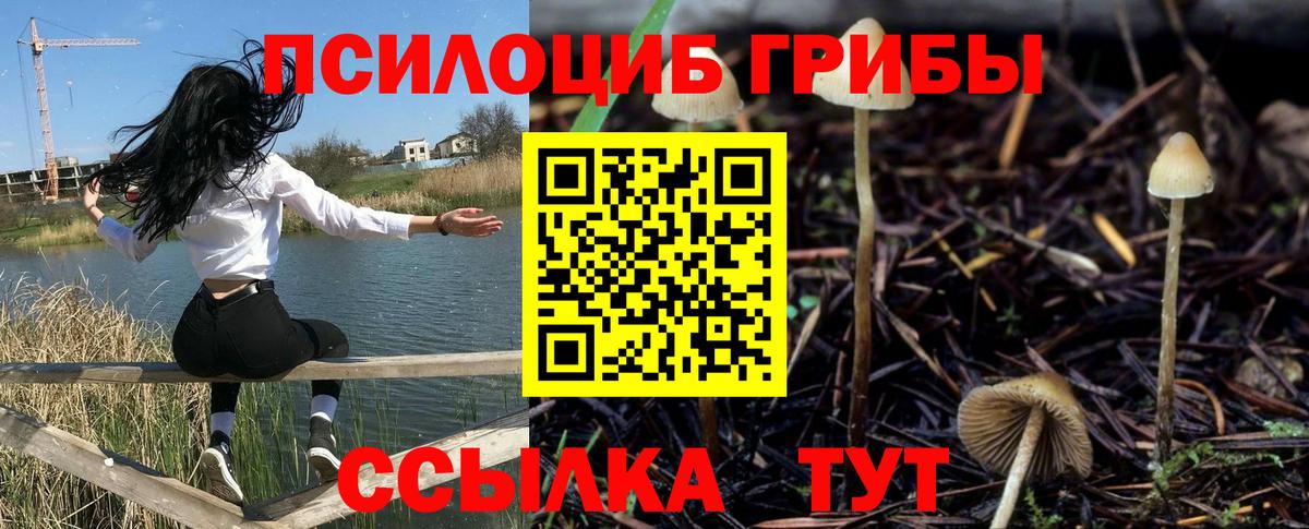 Псилоцибиновые грибы ЛСД Лабытнанги