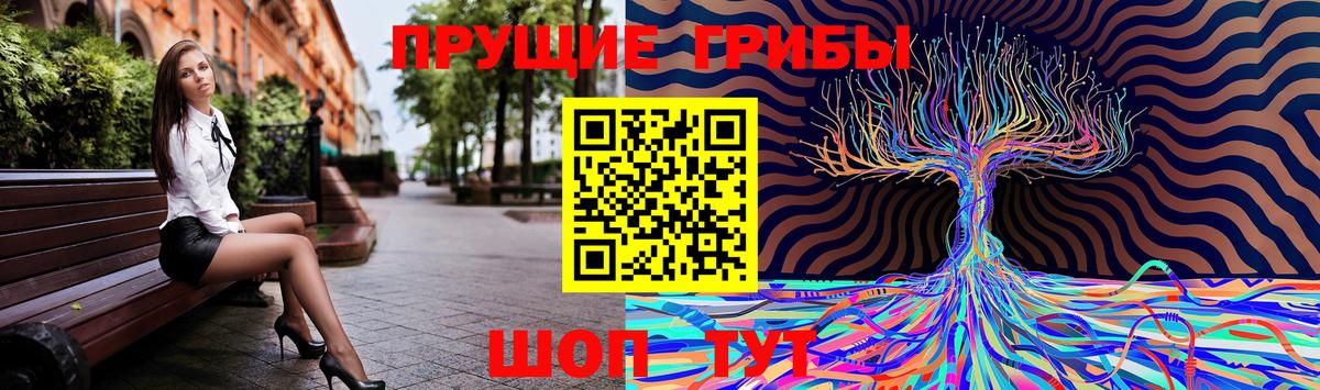 Псилоцибиновые грибы Psilocybine cubensis Лабытнанги