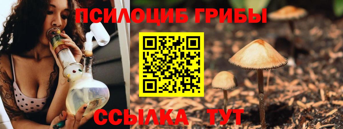 закладки  Псилоцибиновые грибы ЛСД  Псилоцибиновые грибы MAGIC MUSHROOMS  Вход с VPN  Лабытнанги 